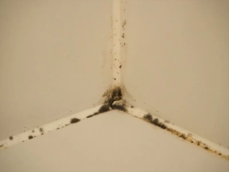 カビの原因とは？